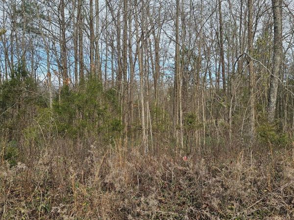 0 Lynn Lane, Lot 23, Big Sandy, TN 38221
