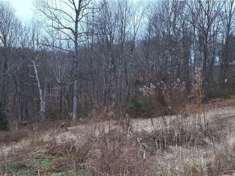 168 Kinderhook Ridge Road, Newport, OH 45768 Photo 23