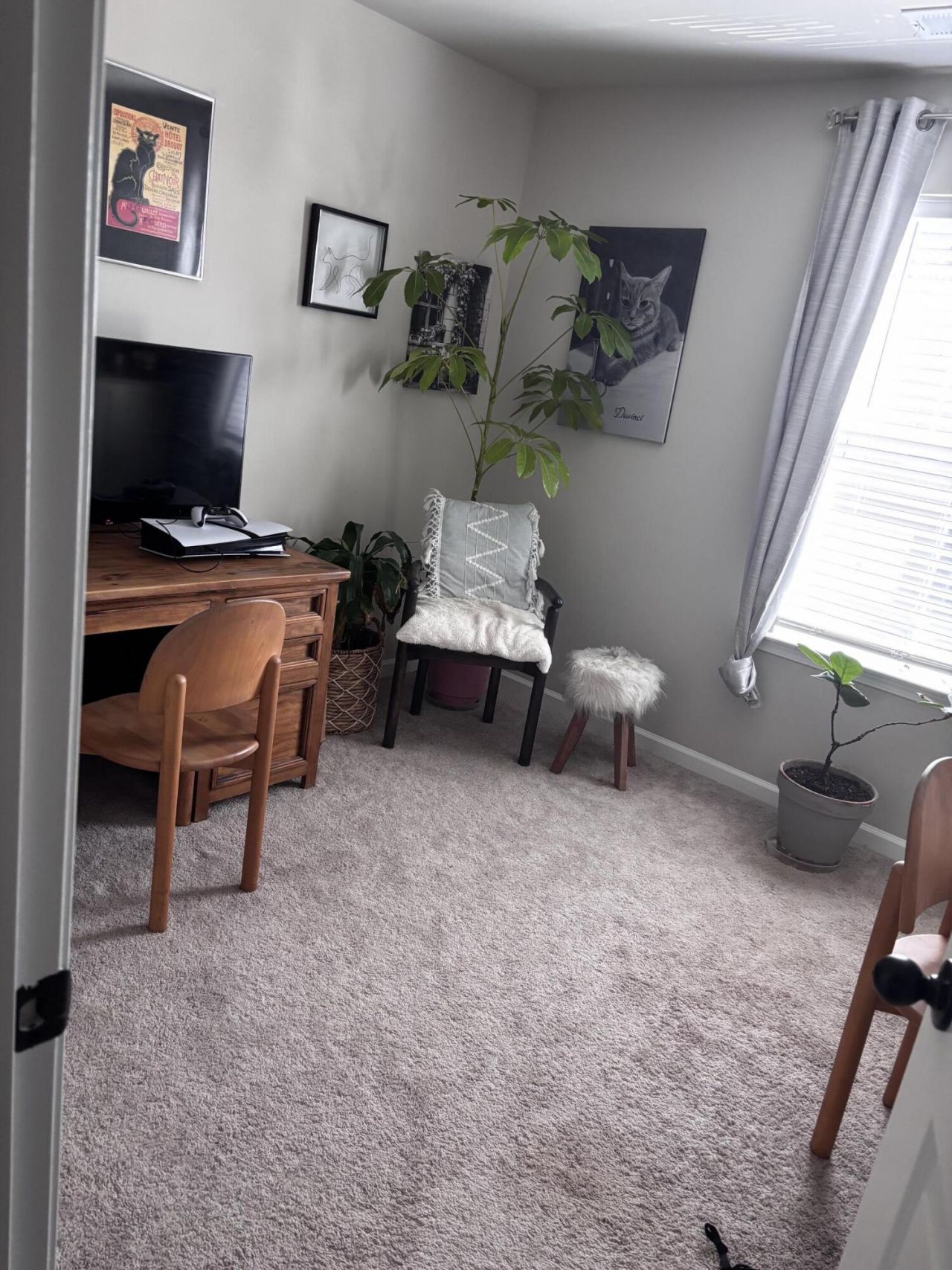 8351 Childs Cove Photo 10