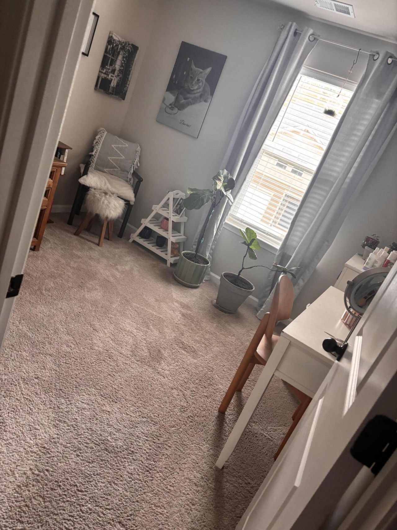 8351 Childs Cove Photo 21