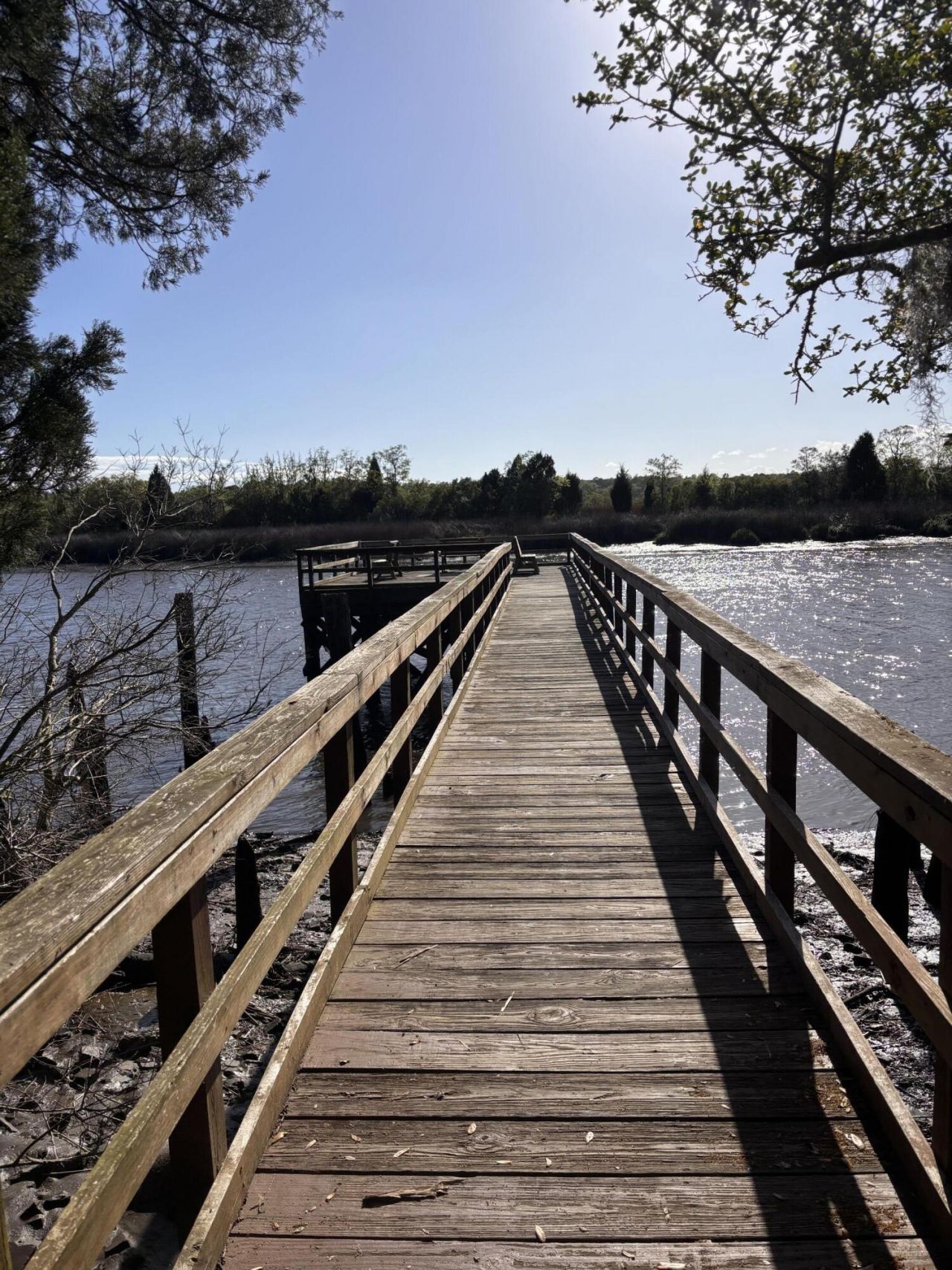 8351 Childs Cove Photo 27