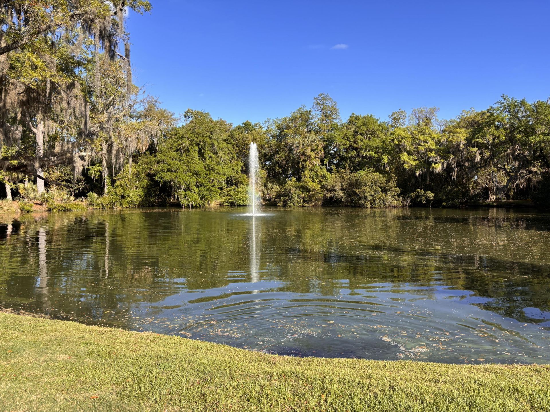 8351 Childs Cove Photo 29