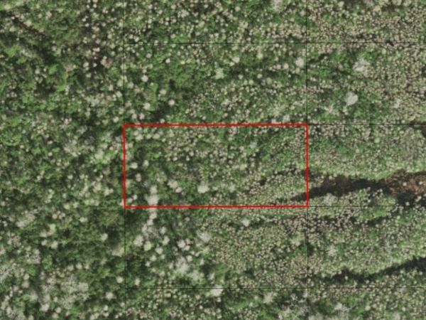 0 HOLOPAW GROVES RD, St. Cloud, FL 34772