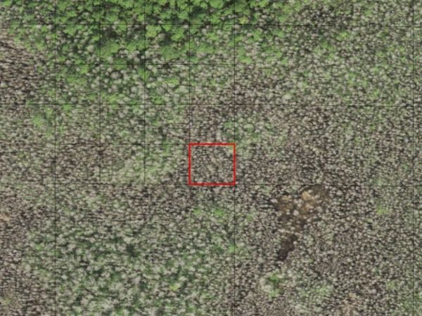 0 HOLOPAW GROVES RD, St. Cloud, FL 34772