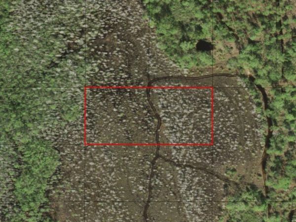 0 HOLOPAW GROVES RD, St. Cloud, FL 34772