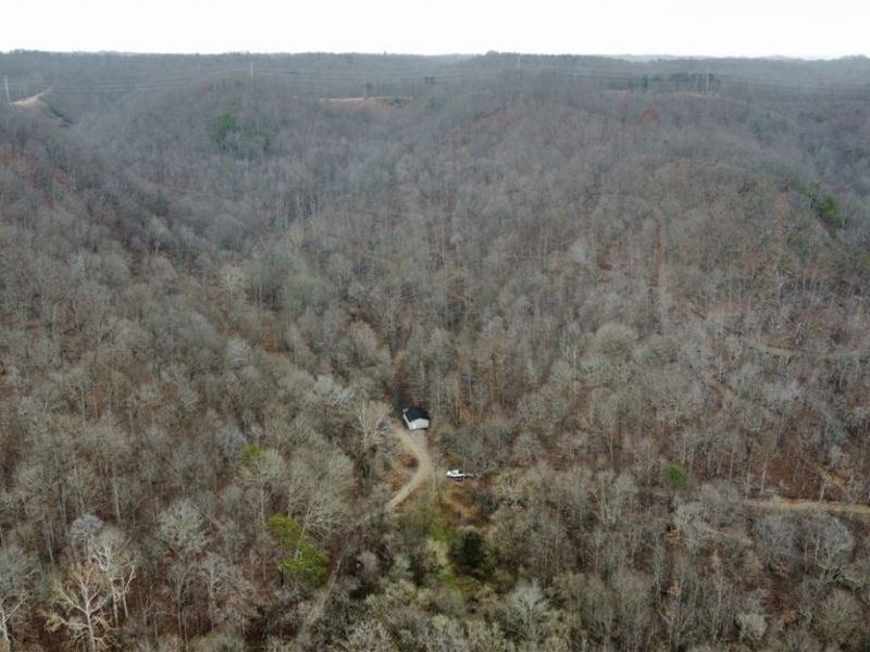 Edendale Road, Portsmouth, OH 45662 Photo 1