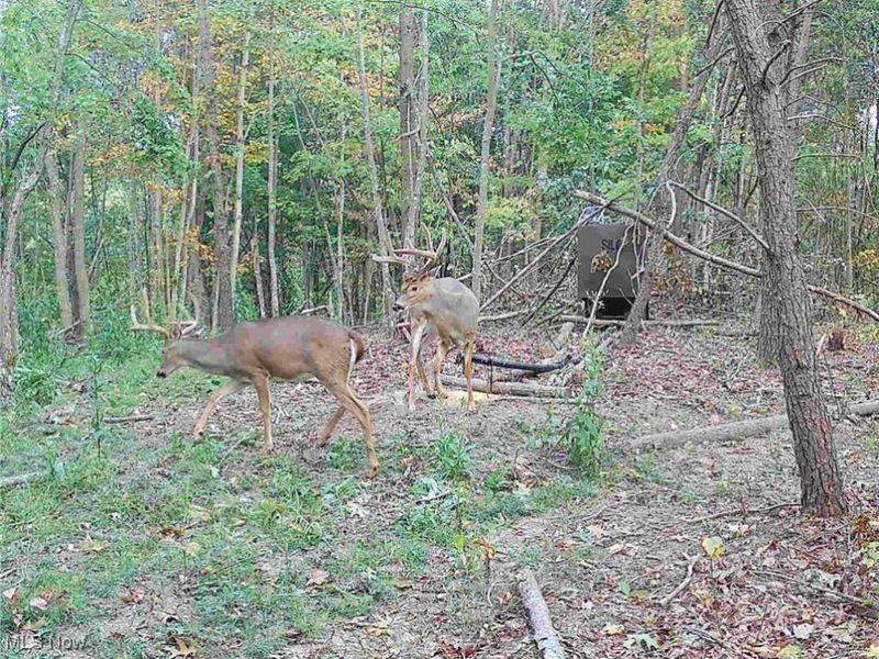 Edendale Road, Portsmouth, OH 45662 Photo 12