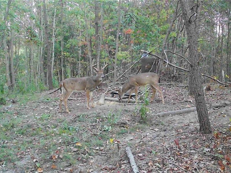 Edendale Road, Portsmouth, OH 45662 Photo 13