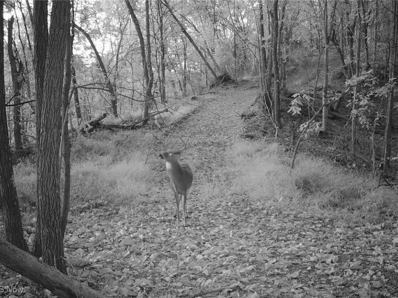 Edendale Road, Portsmouth, OH 45662 Photo 14