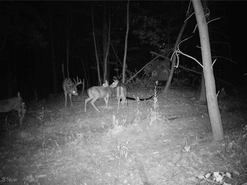 Edendale Road, Portsmouth, OH 45662 Photo 15