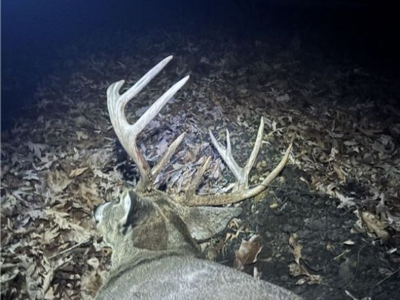 Edendale Road, Portsmouth, OH 45662 Photo 17