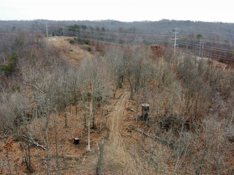 Edendale Road, Portsmouth, OH 45662 Photo 21