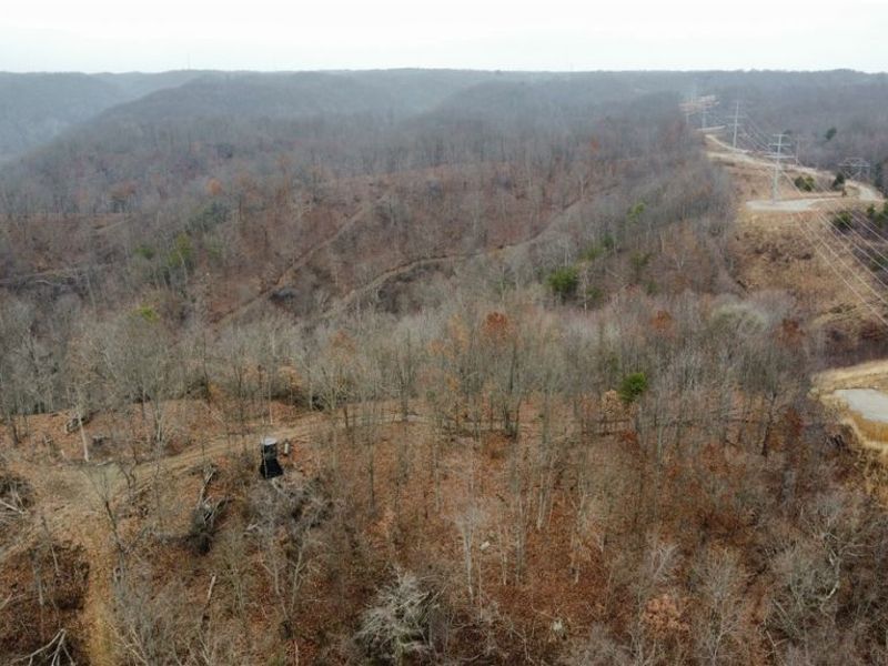 Edendale Road, Portsmouth, OH 45662 Photo 22