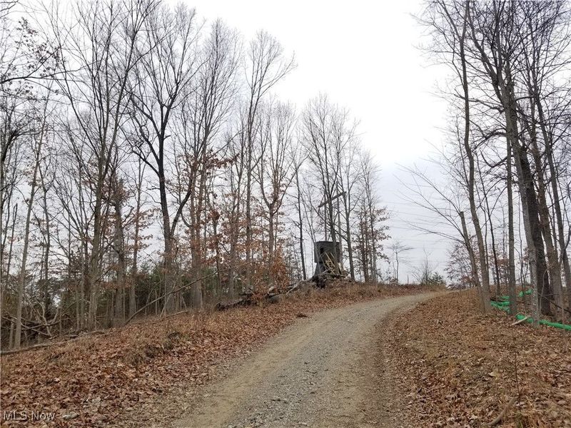 Edendale Road, Portsmouth, OH 45662 Photo 23