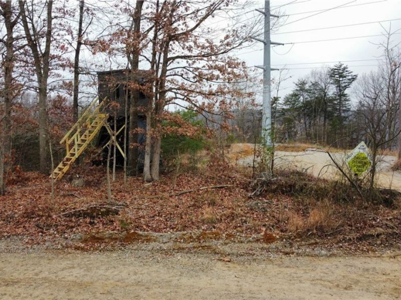 Edendale Road, Portsmouth, OH 45662 Photo 24