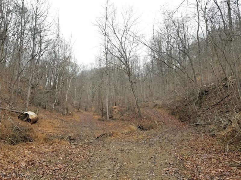 Edendale Road, Portsmouth, OH 45662 Photo 27