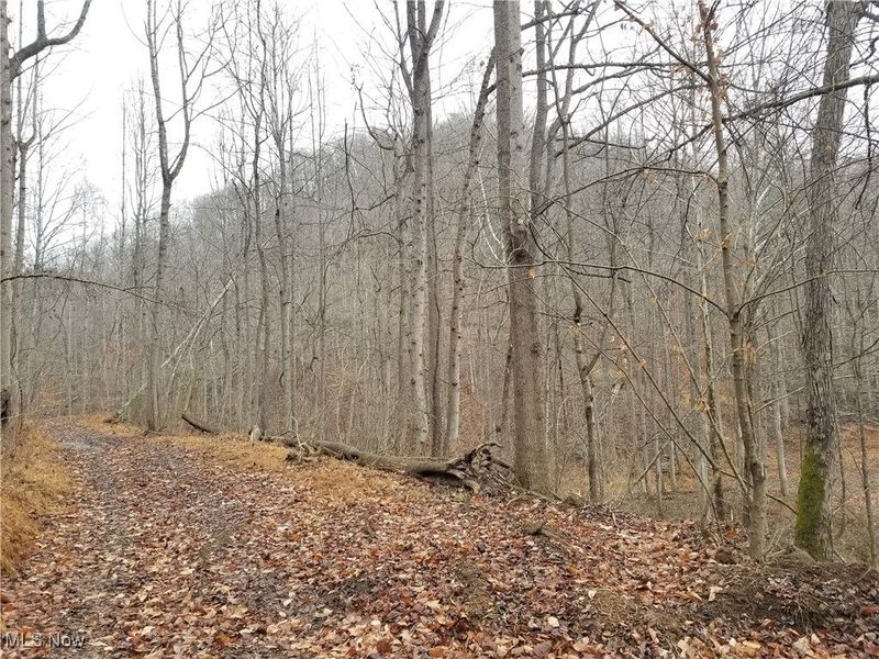 Edendale Road, Portsmouth, OH 45662 Photo 28