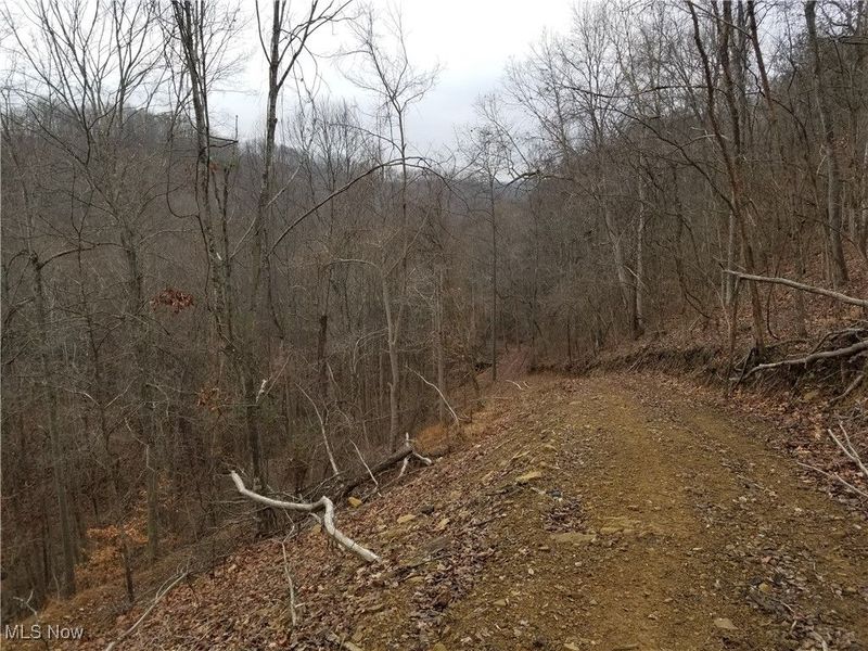 Edendale Road, Portsmouth, OH 45662 Photo 29