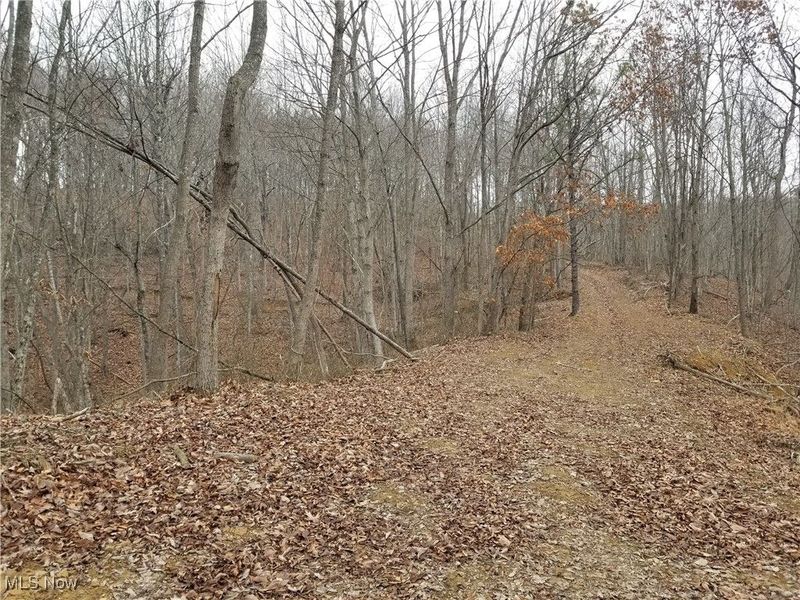 Edendale Road, Portsmouth, OH 45662 Photo 30