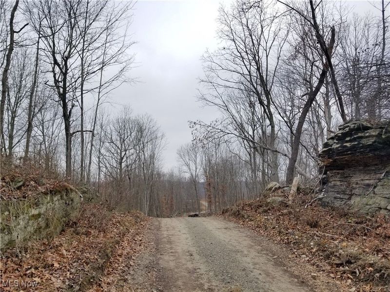 Edendale Road, Portsmouth, OH 45662 Photo 33