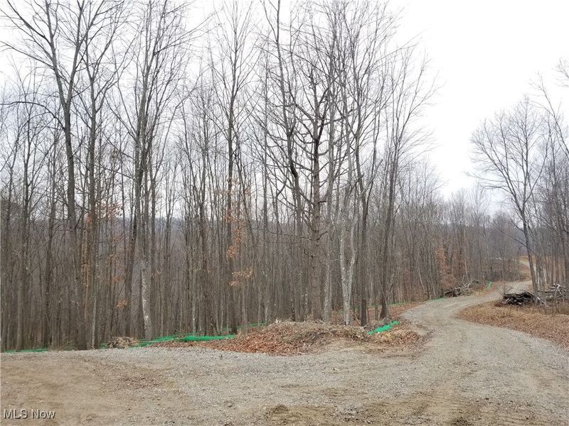 Edendale Road, Portsmouth, OH 45662 Photo 34