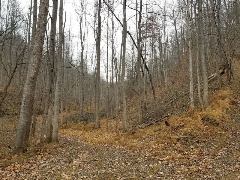 Edendale Road, Portsmouth, OH 45662 Photo 35