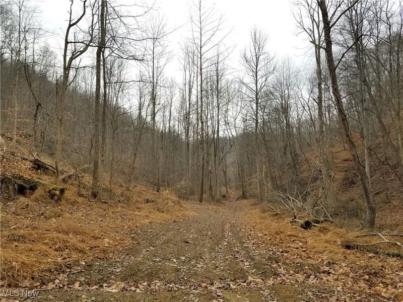 Edendale Road, Portsmouth, OH 45662 Photo 36