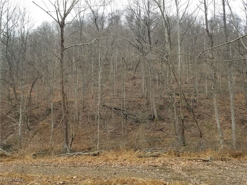 Edendale Road, Portsmouth, OH 45662 Photo 37