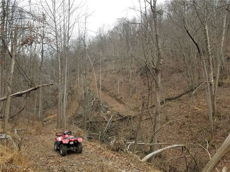 Edendale Road, Portsmouth, OH 45662 Photo 38