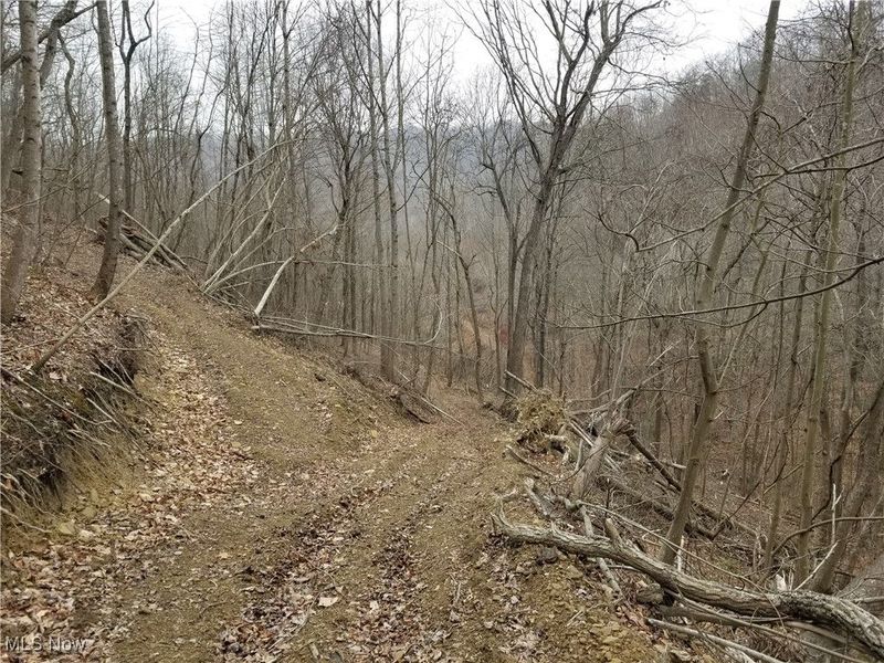 Edendale Road, Portsmouth, OH 45662 Photo 39