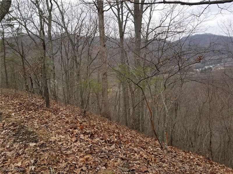 Edendale Road, Portsmouth, OH 45662 Photo 40