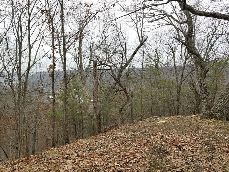 Edendale Road, Portsmouth, OH 45662 Photo 41