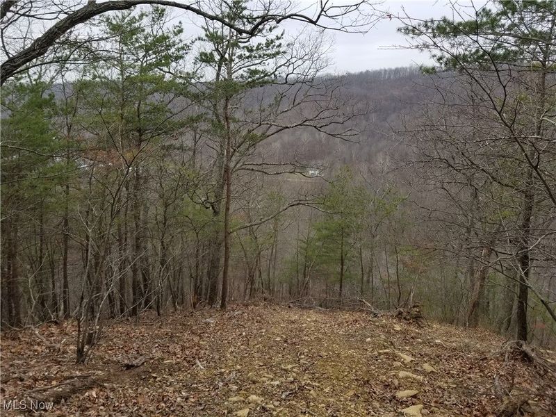 Edendale Road, Portsmouth, OH 45662 Photo 42