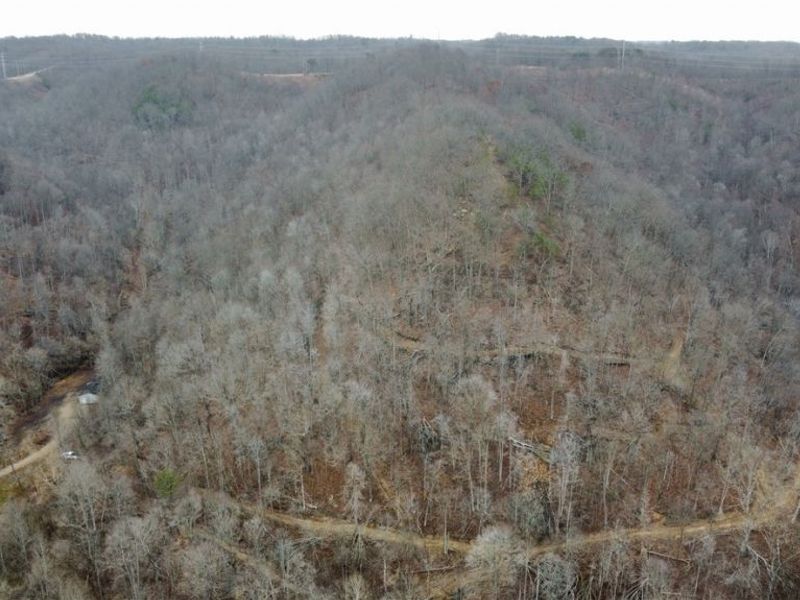 Edendale Road, Portsmouth, OH 45662 Photo 44