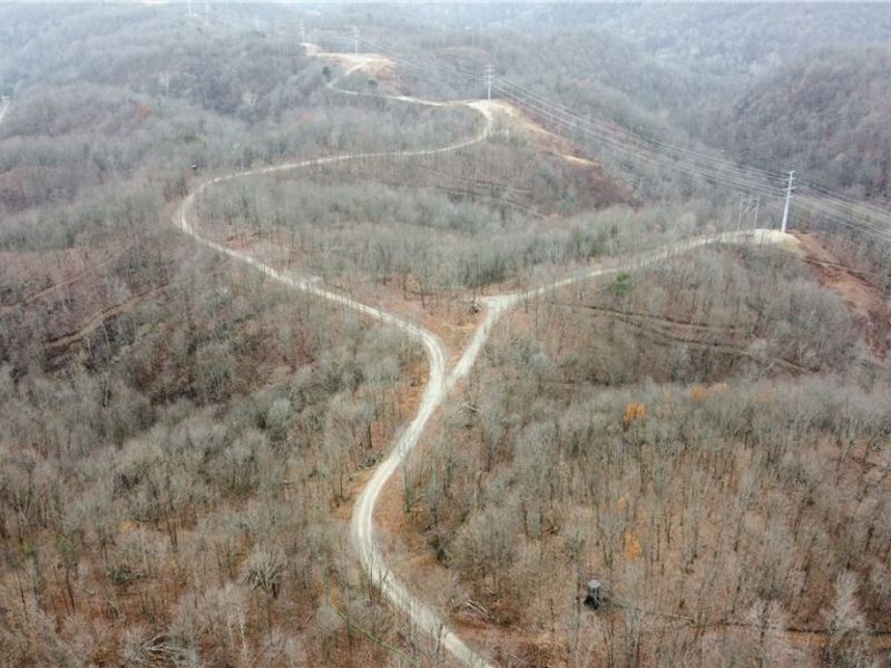 Edendale Road, Portsmouth, OH 45662 Photo 48