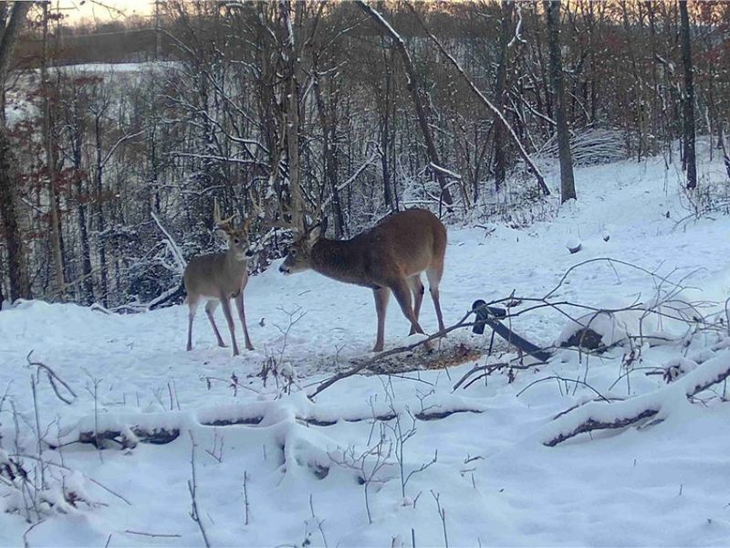 Edendale Road, Portsmouth, OH 45662 Photo 9