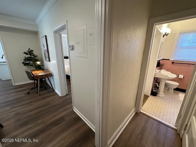 1809 San Marco Boulevard, Jacksonville, FL 32207 Photo