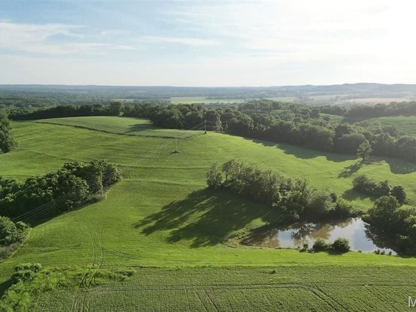 115.6 +/- ac Hwy 79, Unincorporated, MO 63353