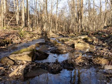 Lot 1 Frost Run, Moatsville, WV 26405