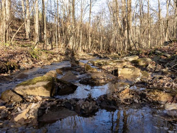 Lot 1 Frost Run, Moatsville, WV 26405