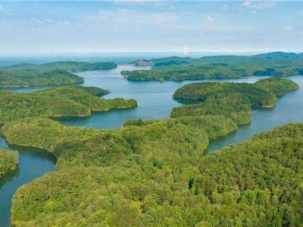 0 Carters View Drive, Ellijay, GA 30540