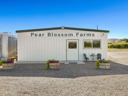 3376 C Road Palisade, CO 81526