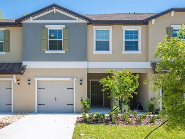 17399 NECTAR FLUME DRIVE, LAND O LAKES, FL 34638