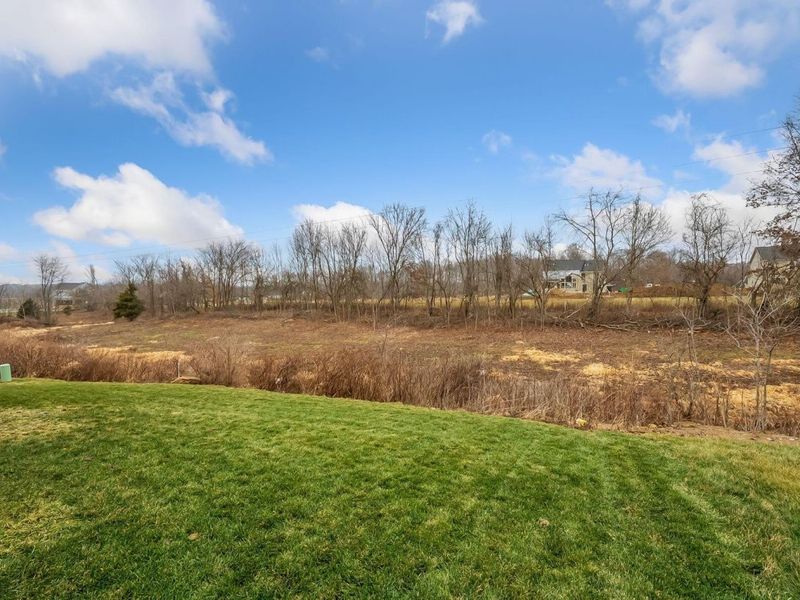 413 Broad Furrows Avenue, Delaware, OH 43015 Photo 58