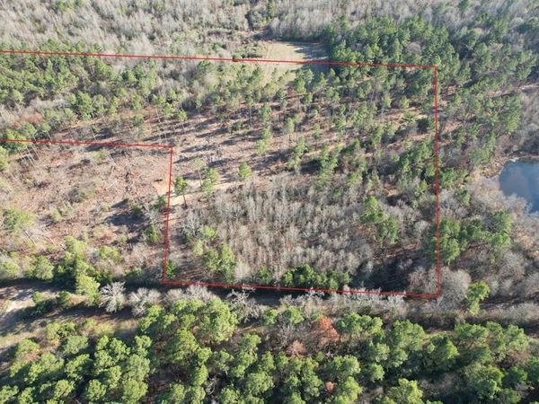 TBD-D County Road 216 , Beckville, TX 75631