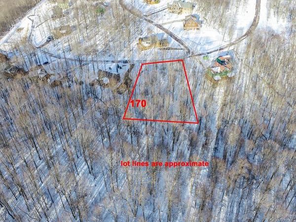 170 FORK RUN TRAIL, MC HENRY, MD 21541