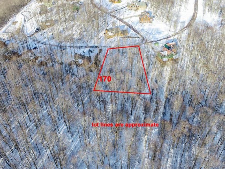 170 Fork Run Trail, Mc Henry, MD 21541 Main Photo