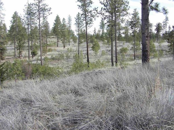 Lot 2 Pine Hen Ln, Davenport, WA 99122