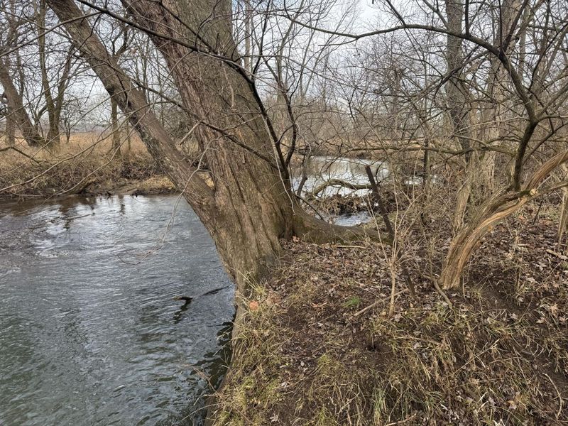 1460 S River Road, Yellow Springs, OH 45387 Photo 5