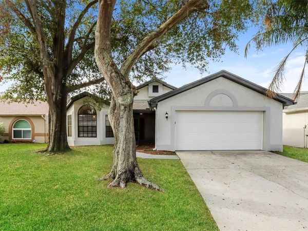 1510 ATTLEBORO LANE, BRANDON, FL 33511